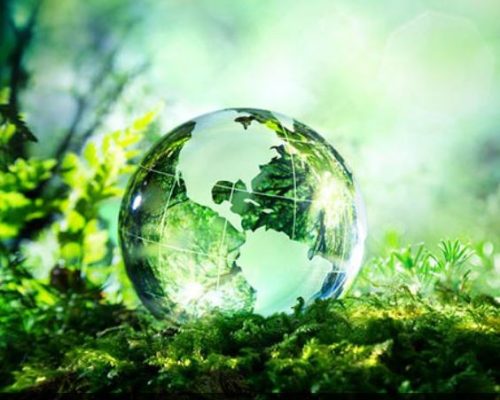 conservation-enviornment